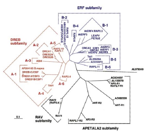File:Evolution fig4.jpg