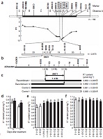 File:Identification of the SKC1 QTL and genetic complementation.jpg