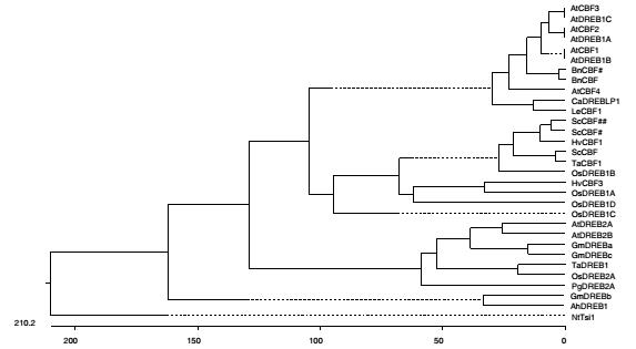 File:Evolution fig7.jpg
