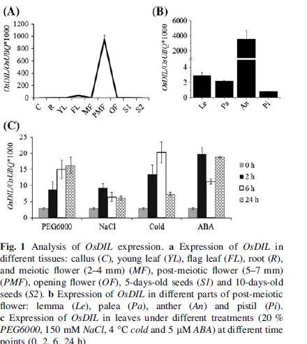 File:Fig.1.jpg