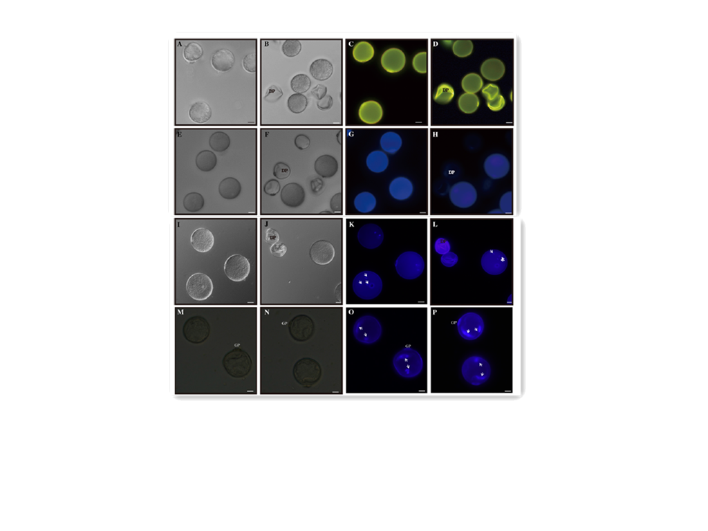 Image3-.png