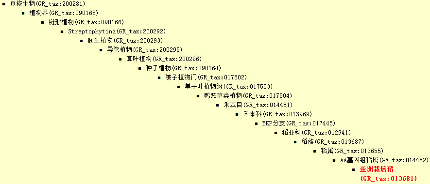 进化.jpg