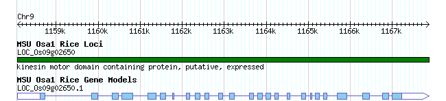 Structure 1.png