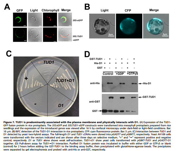 Figure7.jpg