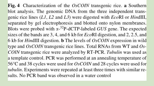 Fig.4.1zxy.png