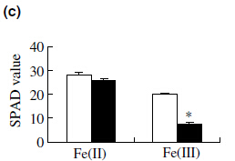 Fig.6c.jpg
