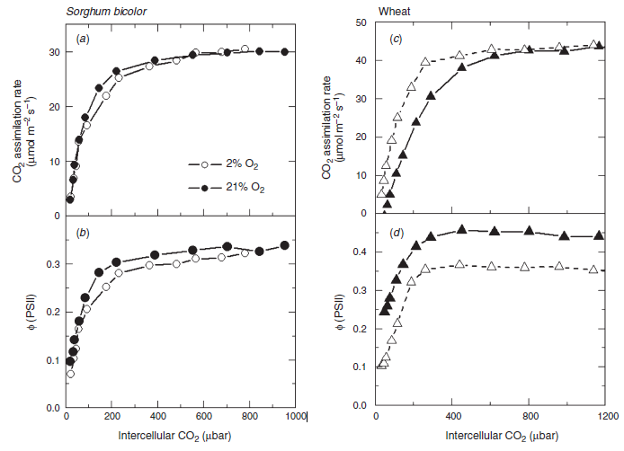 File:IC4R005-Phenomics-2009-11089458-f6.png