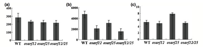 File:Fig6.jpg