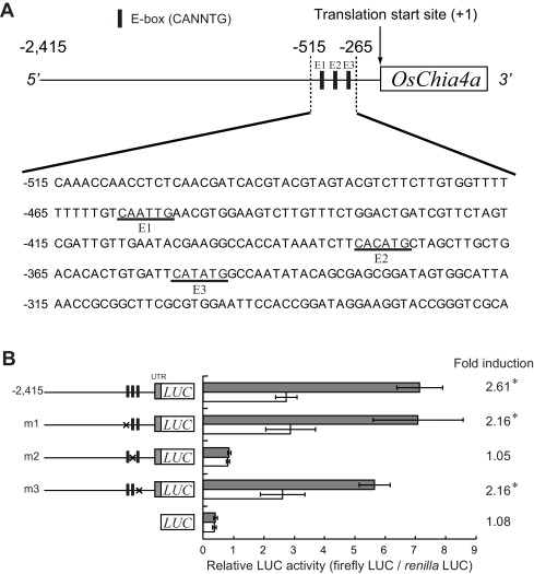 File:Mutation analysis.jpg