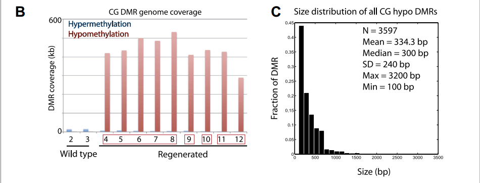 IC4R010-Epigenomic-2013-23539454-f1b.png