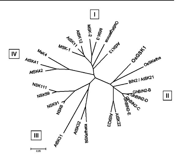 File:OsGSK1 3.jpg