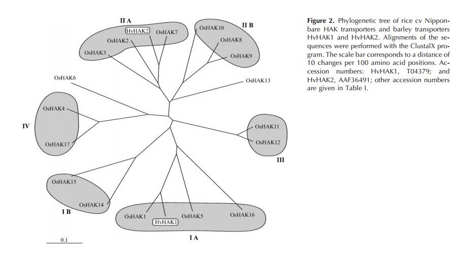 Example.jpg