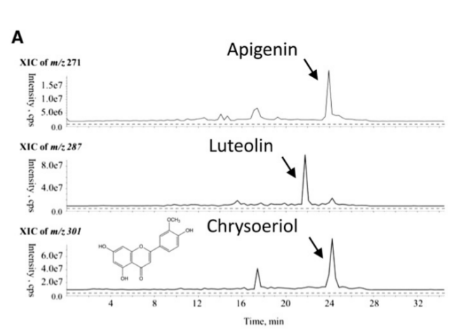 File:Os01g0124400.png