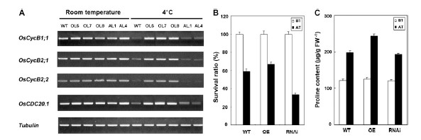 Figure 7.jpg