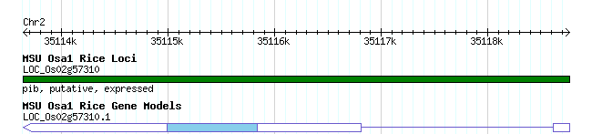 Figure1 gene struture.png