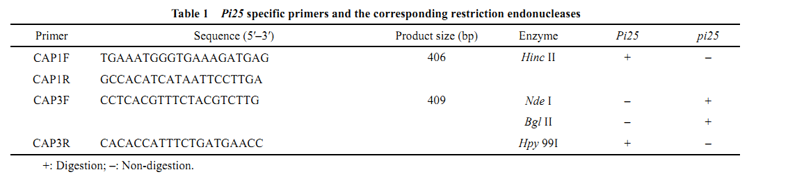 Pi25 specific primer.png