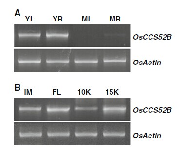 Fig.3.jpg