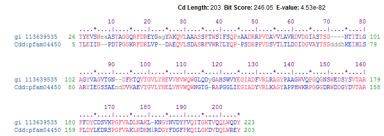 File:BSP gene structure.jpg