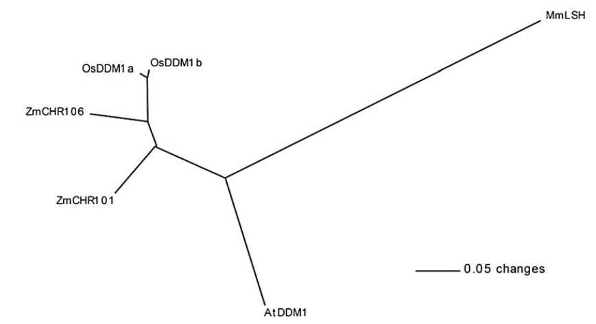 E 2.jpg