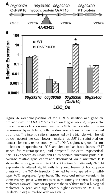 Figure 3xxy.png