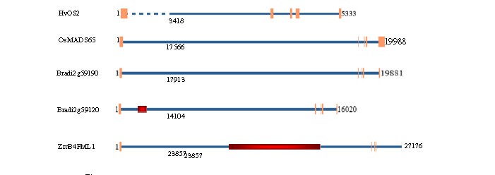 File:Schematic.jpg