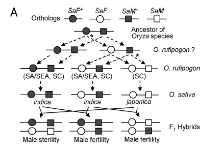 Fig.7.jpg