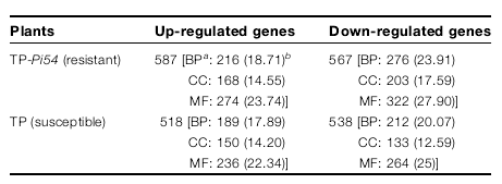 Gene ontology score-based categorization of differen-.png