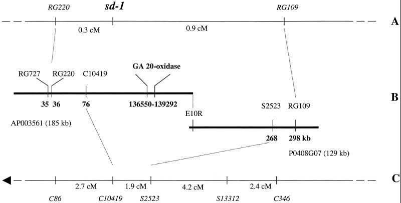 Figure--1.jpg