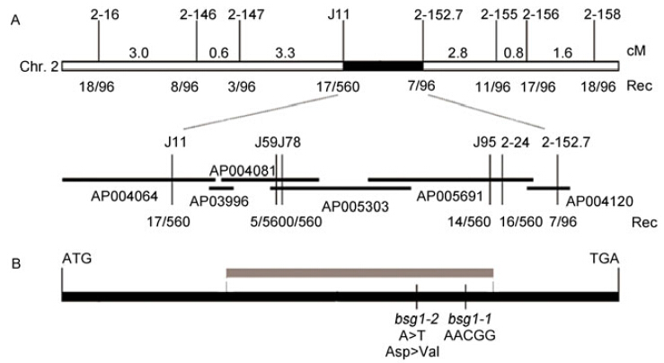 File:GCFig.10.jpg