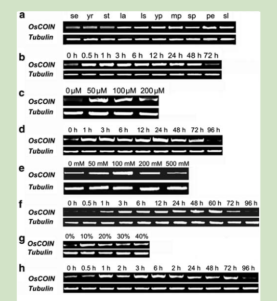 Fig.3zxy.png