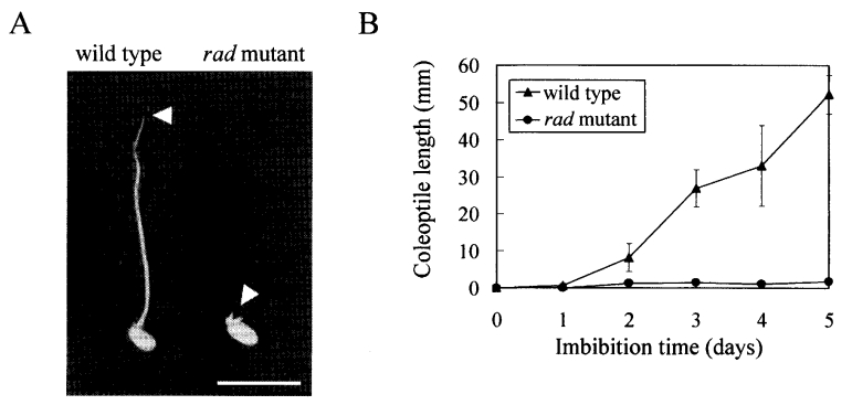 File:Shijc-Fig2.jpg