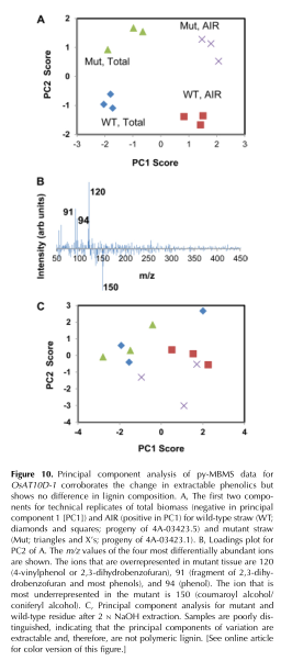 Figure 10xxy.png