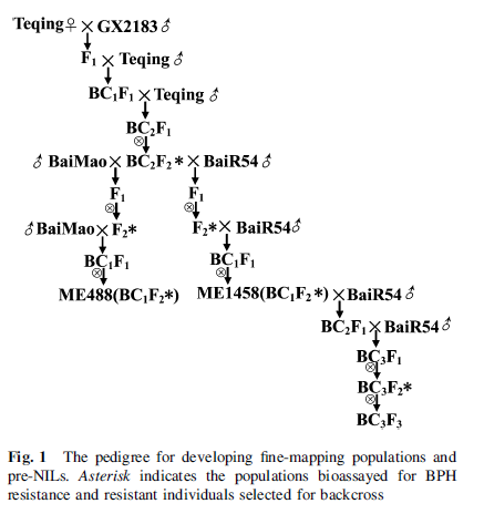 The pedigree.PNG