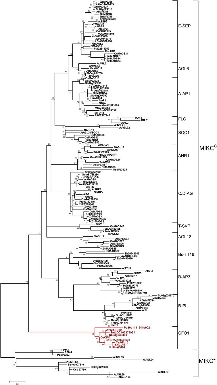 Fig8.jpg