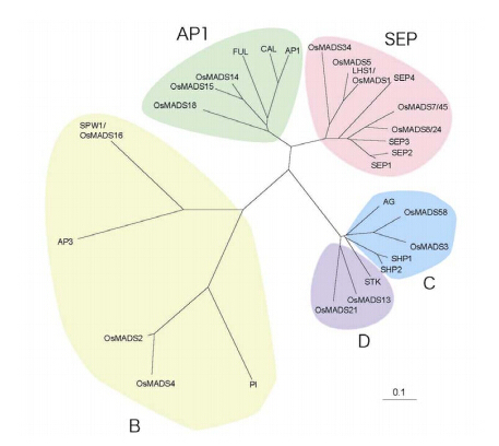 Example44.jpg