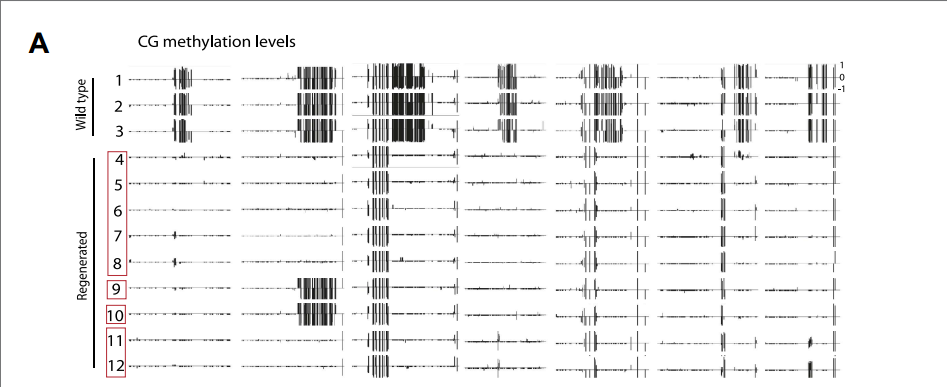 IC4R010-Epigenomic-2013-23539454-f1a.png