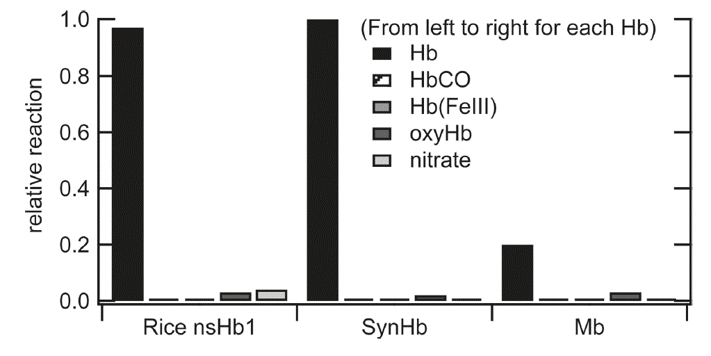 "Reactivity of nitrite and nitrate with other forms of rice nsHb1, SynHb, and Mb. (from reference [1])."