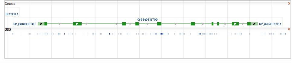 Genomic context2.jpg