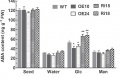 Thumbnail for version as of 16:18, 8 June 2014