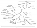 Thumbnail for version as of 10:17, 23 May 2014