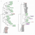 Thumbnail for version as of 03:07, 7 June 2014