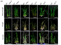 Thumbnail for version as of 14:42, 26 May 2014