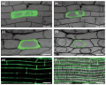 Thumbnail for version as of 11:58, 5 June 2014