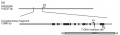 Thumbnail for version as of 03:21, 31 May 2014