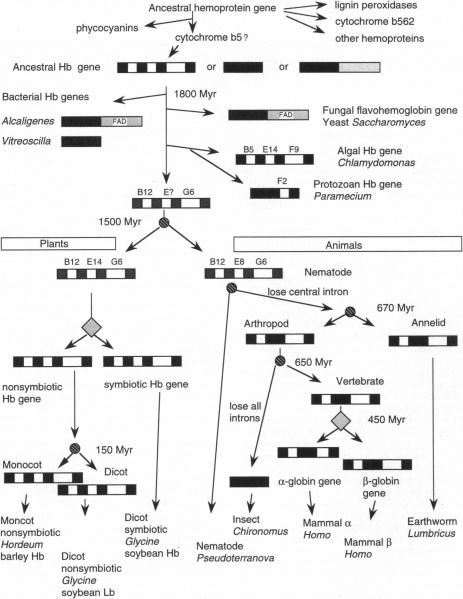 File:Pnas01513-0011.jpg