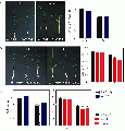 Thumbnail for version as of 13:24, 6 June 2014