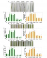 Thumbnail for version as of 12:48, 9 June 2014