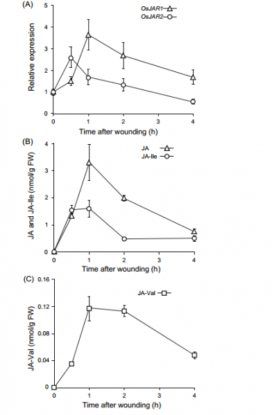File:Expression.figure2.png