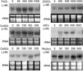Thumbnail for version as of 15:21, 8 June 2014