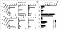 Thumbnail for version as of 12:21, 22 June 2016